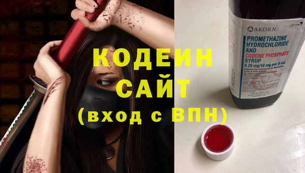 ПСИЛОЦИБИНОВЫЕ ГРИБЫ Няндома