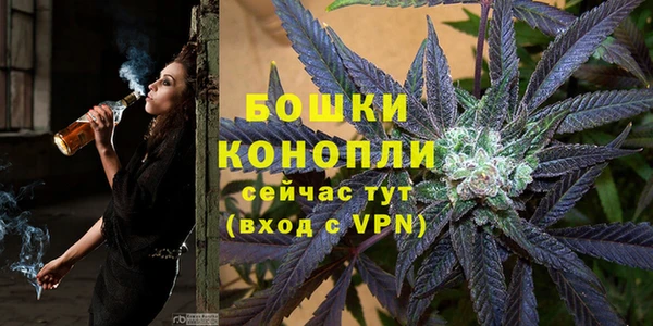 шишки Нягань