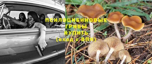 шишки Нягань