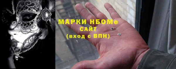 ПСИЛОЦИБИНОВЫЕ ГРИБЫ Няндома