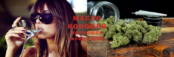 ПСИЛОЦИБИНОВЫЕ ГРИБЫ Няндома