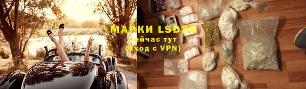 ПСИЛОЦИБИНОВЫЕ ГРИБЫ Няндома