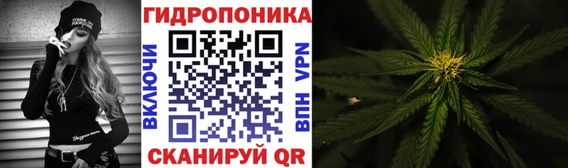 сайты даркнета какой сайт  Туринск  Бошки Шишки индика 